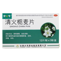 健之佳 清火栀麦片 12片*2板 清热解毒 凉血消肿 咽喉肿痛 发热牙痛