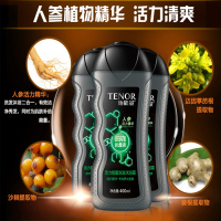 丹姿男士他能量洗沐浴露洗沐套装旗舰店正品（活力能量洗发沐浴露+冰激酷爽沐浴露）