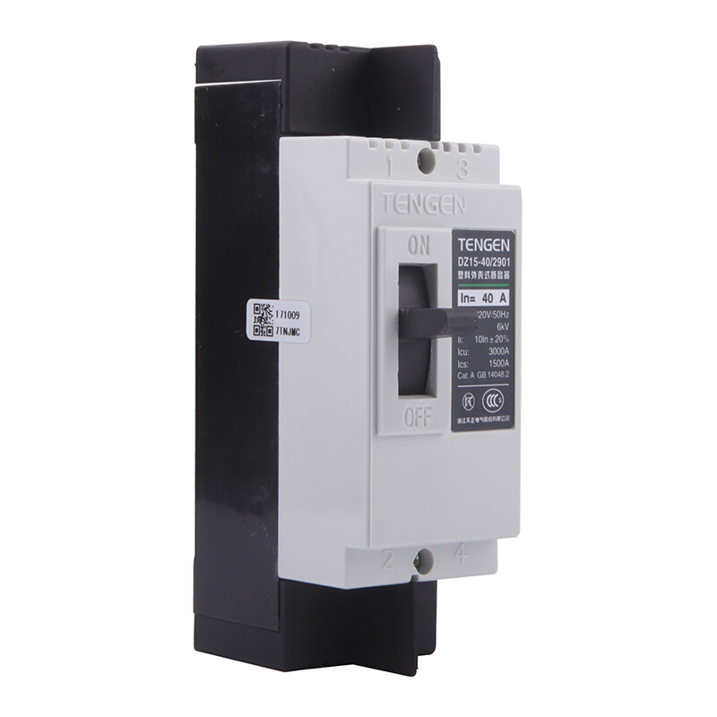 天正电气 DZ15-40 3KA 热磁式 40A 2P 手动 固定式 220V 01040030028 塑壳断路器