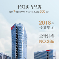 长虹J301 抽油烟机大吸力侧吸家用油烟机厨房用脱排油烟机特价
