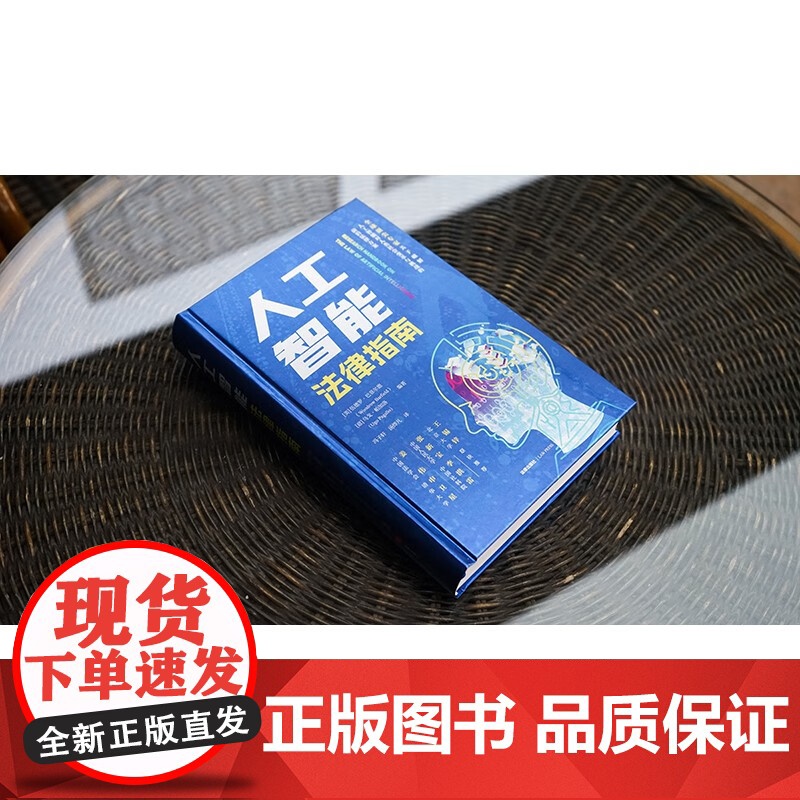 正版 人工智能法律指南 [美]伍德罗·巴菲尔德 [意]乌戈·帕加洛 编著 冯子轩 汤烨凡 译 法律出版社高清大图