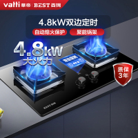 华帝百得(BEST) QE60燃气灶4.8k大火力双边定时嵌入式大火力灶台嵌两用天然气灶灶具(天然气)