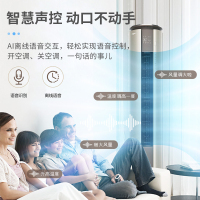 惠而浦(Whirlpool) 2匹 变频 新1级 紫外杀菌智慧语音智能温湿 2P冷暖 柜机空调IVH-51YT1NW