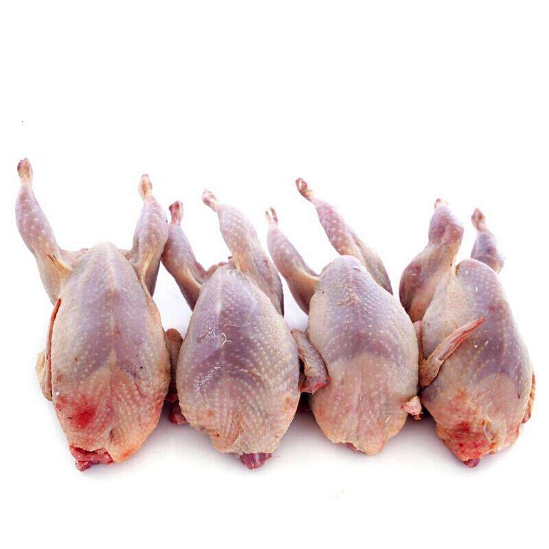 母鹌鹑大号新鲜鹌鹑肉鹌鹑肉冷冻新鲜20只每份可开发票