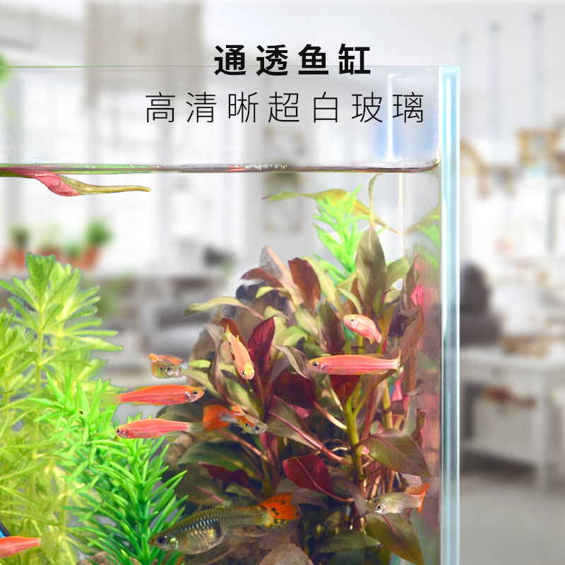 鱼缸小型 免换水创意桌面生态鱼缸客厅金鱼缸水造景家用小鱼缸高清大图
