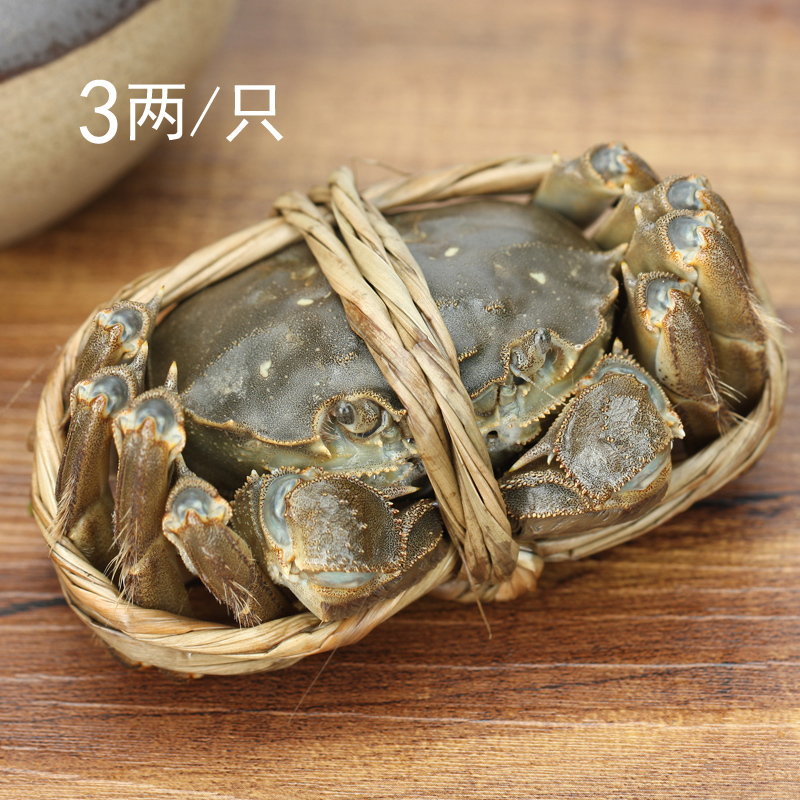 大闸蟹鲜活大螃蟹公蟹母蟹新鲜海鲜水产河蟹湖蟹顺丰非六月[三天内发货]