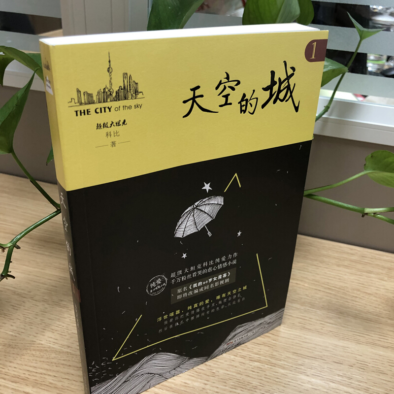 [醉染正版]天空的城1 原名《我的26岁女房客》17K小说网签约作家 **大坦克科比/著 虐心情感类书籍 纯爱情感爱情小高清大图