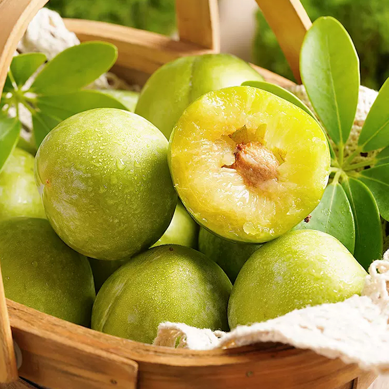 [西沛生鲜]福建古田油奈李 5斤 中果装 现摘酸甜李子 应季新鲜水果