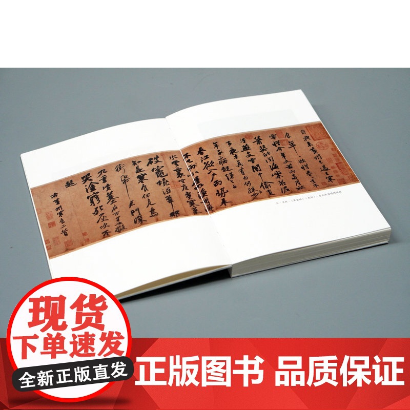 大学问 何处不归鸿:苏轼传 方志远/著 历史传记 苏轼 东坡 传记文学 广西师范大学出版社高清大图