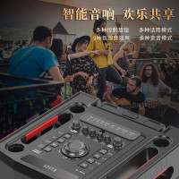 万利达(malata)M+9816广场舞音响蓝牙音箱低音炮户外直播音响带声卡无线扩音器舞台大音量网红声卡直播音响