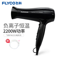 飞科(FLYCO) 电吹风 FH6231电吹风筒 2000w 6档可调 大功率 健康柔风模式 家用 发廊 吹风筒