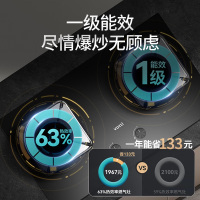 华帝(VATTI)燃气灶i10301家用天然气大火力灶具台嵌两用5.2kW宽域匀火调节可拆卸炉头一级能效易清洁
