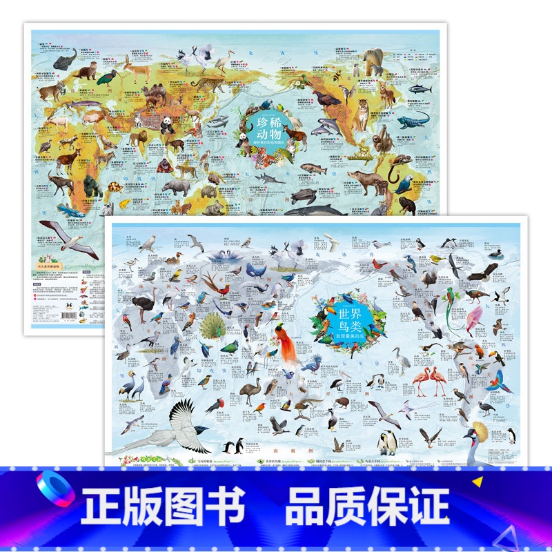 [正版]2张珍稀动物世界鸟类墙贴儿童房大尺寸少儿地图纸质版儿童地理启蒙知识卡通益智科普百科画小学生趣味地图 教孩子认识了高清大图