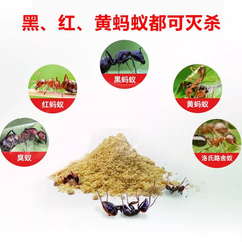 蚂蚁药家用室内全窝端灭杀小黄红黑饵剂一锅端厨房户外除蚁非无毒