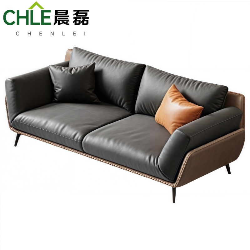 晨磊 洽谈沙发 双人位 张高清大图