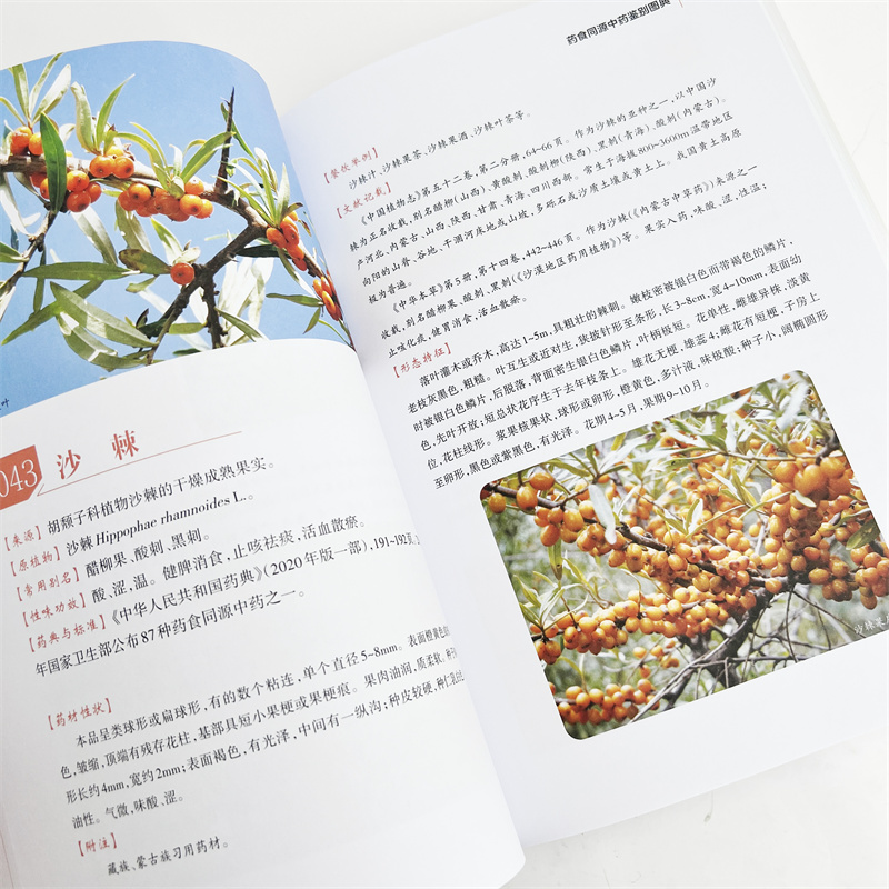 药食同源中药鉴别图典 [正版]药食同源中药鉴别图典 药食同源中药解析 药材和原植物识别特征 药食同源中药基源鉴别品种及实高清大图