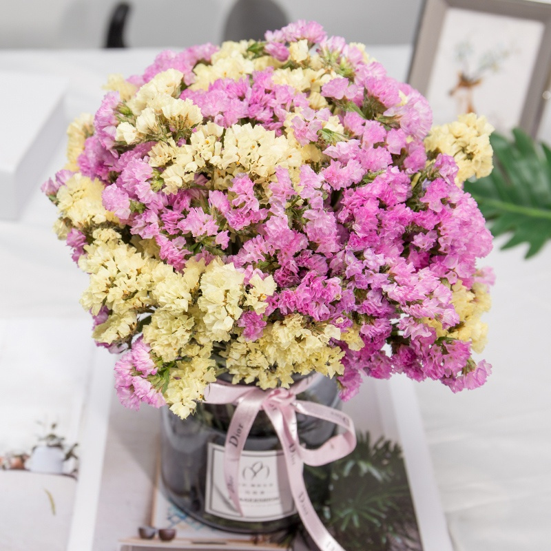 勿忘我干花客厅卧室装饰花束风干真花大束小清新摆件家居摆设 fenghou