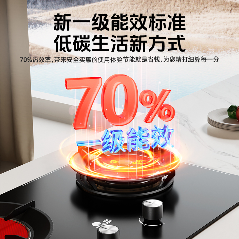 红日(RedSun)家用台嵌两用熄火保护 固定定时 1200℃猛火燃气红外线灶 节能省气灶EX26B天然气高清大图