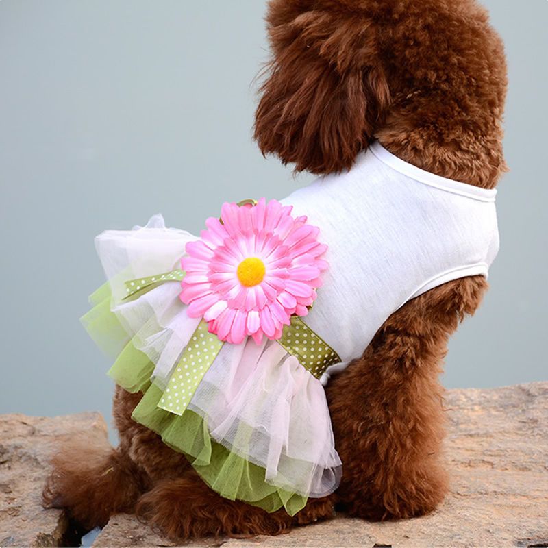 小狗狗衣服春秋装薄款泰迪比熊博美小型犬宠物秋季公主连衣裙子潮 新款太阳花裙 XS码(建议1.0-2.3斤)