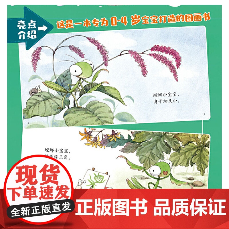 乐悠悠启蒙图画书螳螂小谣曲儿童绘本0-1-2到3岁宝宝早教经典故事书硬壳精装认识螳螂主题昆虫动物蝴蝶知了蜻蜓启蒙认知阅读高清大图