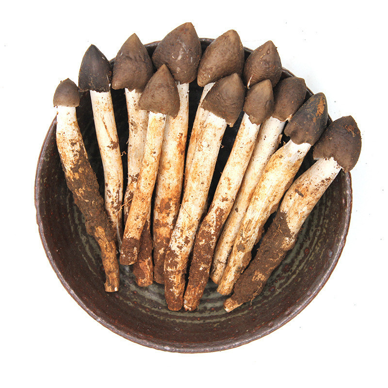 博多客菌菇类 新鲜鸡枞菌500g【价格 图片 品牌 报价】-苏宁易购鲜