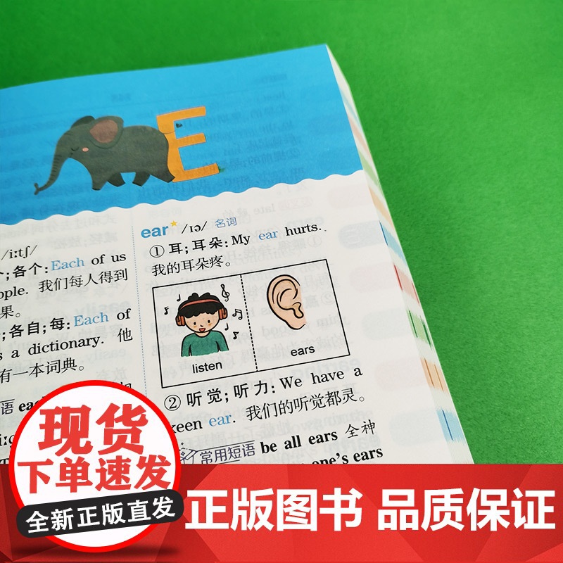 小学生多功能英汉大词典 2024 专属小学生英语大词典 超大开本 彩图大字印刷 多功能 小学通用版高清大图