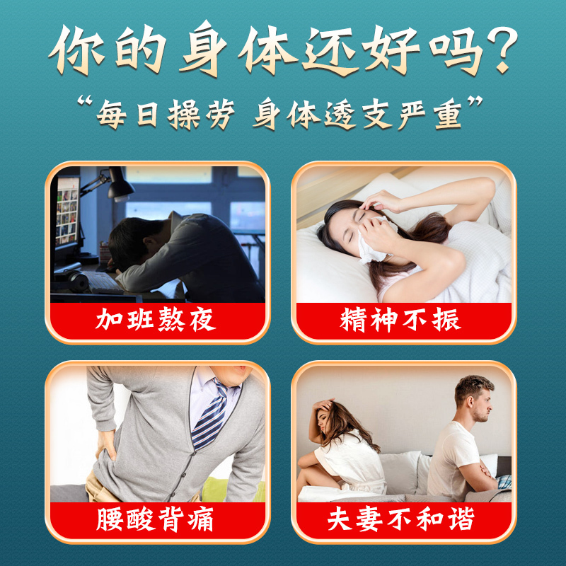 北京同仁堂当归龙眼枸杞子90g