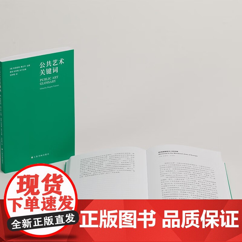 公共艺术关键词 布丽奇特弗兰岑主编姜俊张钟萄执行主编上海书画出版社理解公共艺术与城市文化重要读本艺术指南高清大图