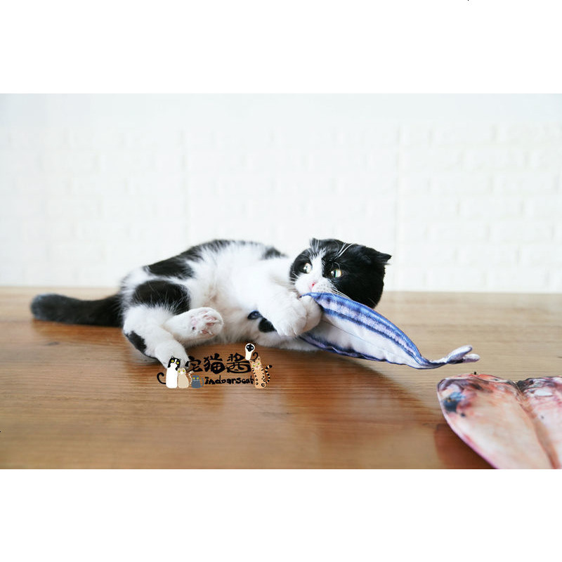 宅猫酱 烤鱼排逗猫玩具可自行添加木天蓼猫薄荷
