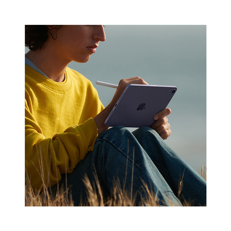 [分期0息]2021新款 Apple iPad mini 6代 8.3英寸平板电脑64GB粉色全新WLAN版 6期0息