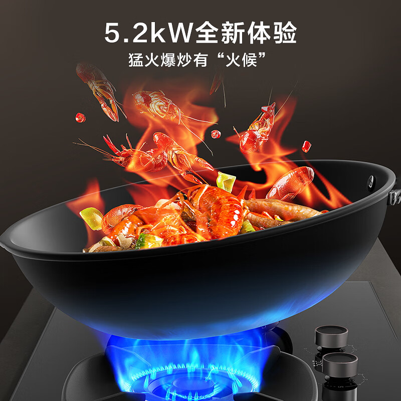 华帝(vatti)燃气灶家用5.2kW 嵌入式定时猛火灶 可调节免扩孔70%热效率 烟灶联动灶具i10309D(天然气)高清大图