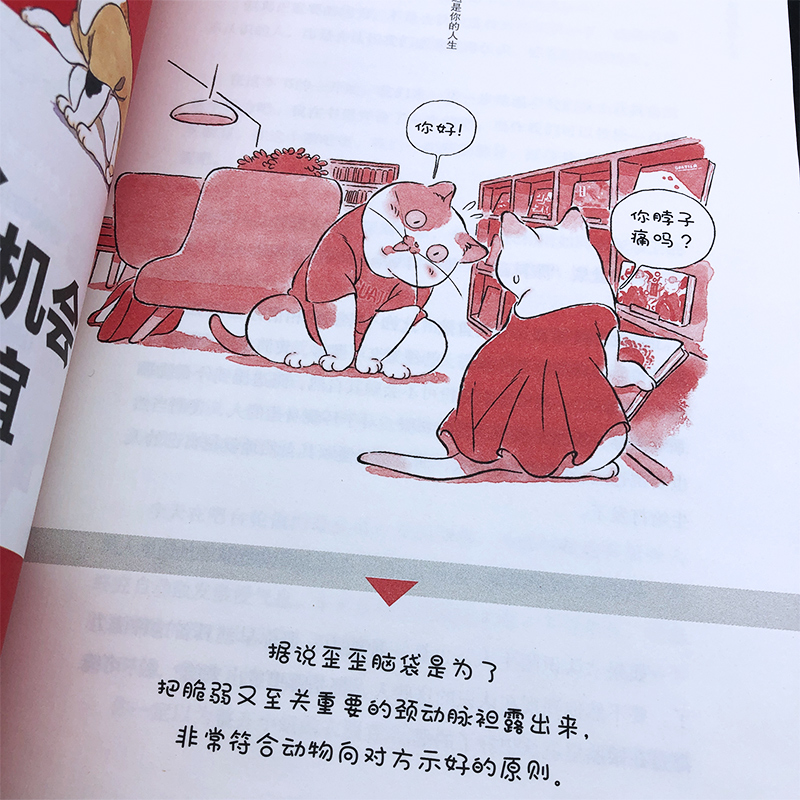 [正版]因为这是你的人生 蔡康永的情商课2 人际交往口才说话技巧沟通术心理学 书店书籍 博集高清大图
