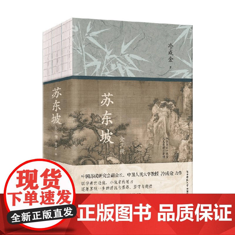 苏东坡 冷成金 著 历史小说高清大图