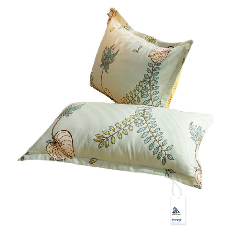 安居先森加厚生态棉臻品美肌单人床三件套床品D1241（套）高清大图