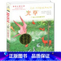 【正版】 光草国际小说大奖升级版7-9-10-12-15岁少儿图书文学书籍中小学生三四五六年级课外书经典世界文学版中六