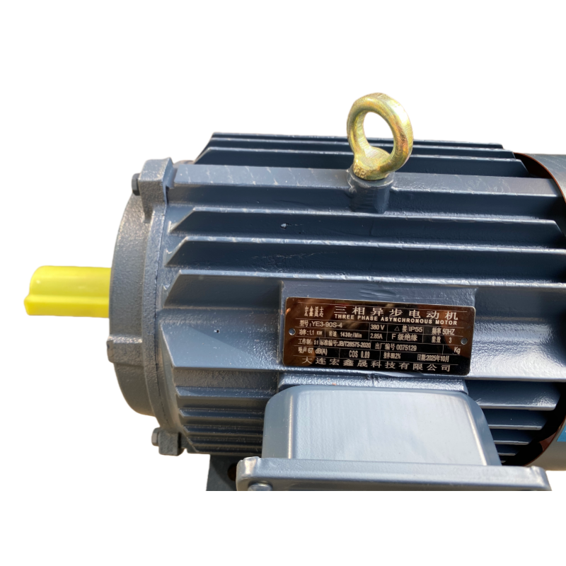 宏鑫晟志 三相异步电动机 YE3-90S-4-380V-2.85A 单位:台高清大图
