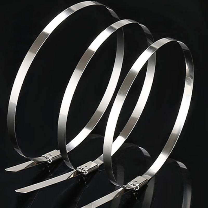 杜轲 DK79L 不锈钢自锁式扎带金属卡扣固定钢带-4.6×200mm 单位:条