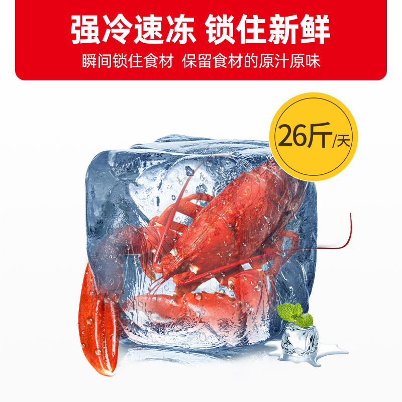 星星(XINGX) BCD-203EJD 203升 家用商用双温冰柜 双箱冷柜 左冷冻右冷藏冰箱 顶开门大容