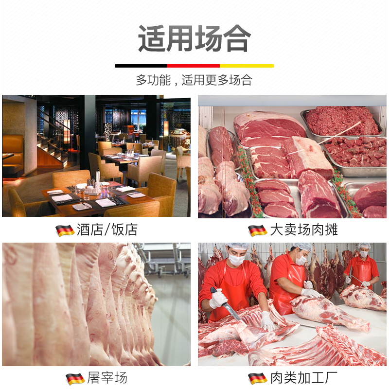德玛仕(DEMASHI) 绞肉机商用灌肠机碎肉机绞馅机锯骨机切肉机切菜机自助瓜果切丝机羊肉卷切片机 YF-F210A