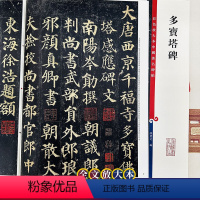 [正版]颜真卿多宝塔碑 中国著名碑帖8开彩色放大本 多宝塔碑高清全文放大版 楷书墨迹版毛笔书法字帖 孙宝文编 上海辞书