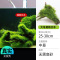 鱼缸造景莫斯沉木水榕无土植物懒人增氧真水草趴地矮珍珠陀草