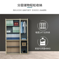 尔迈 钢制文件柜铁皮柜办公室档案资料柜带锁财务凭证柜 枫木色六门文件柜(左)