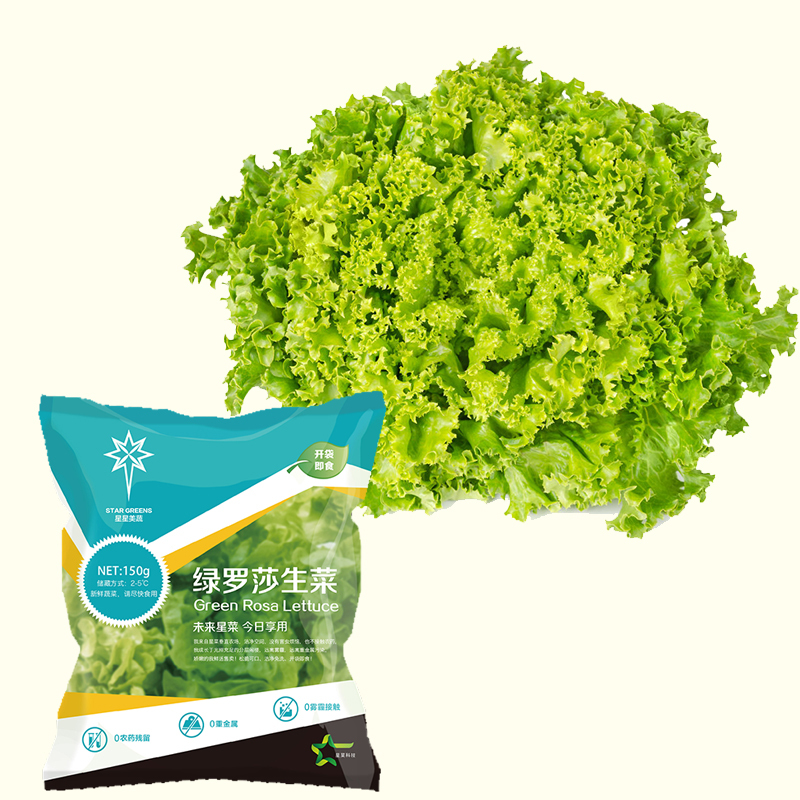 星菜无土水培绿罗莎生菜150g袋