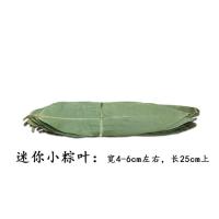 粽子叶新鲜粽叶真空竹叶天然大粽叶包粽子叶粽叶子干粽叶箬叶 迷你干粽叶[宽4-6cm] 100片[送绳][买二送一]