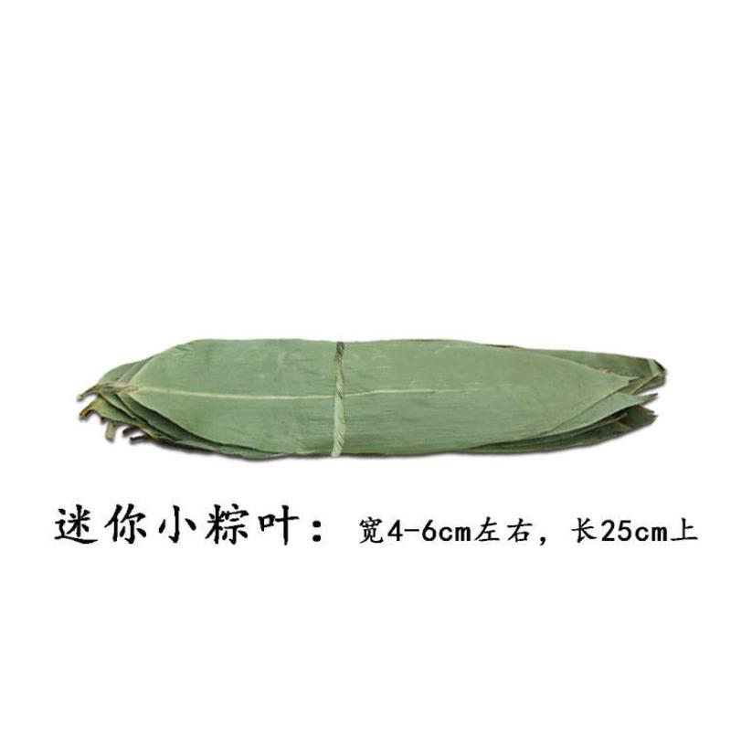 粽子叶新鲜粽叶真空竹叶天然大粽叶包粽子叶粽叶子干粽叶箬叶 迷你干粽叶[宽4-6cm] 100片[送绳][买二送一]