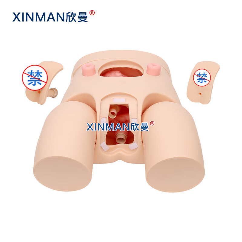 欣曼科教 高级男女性互换导尿操作训练模型 导尿练习模拟人XM-H12高清大图