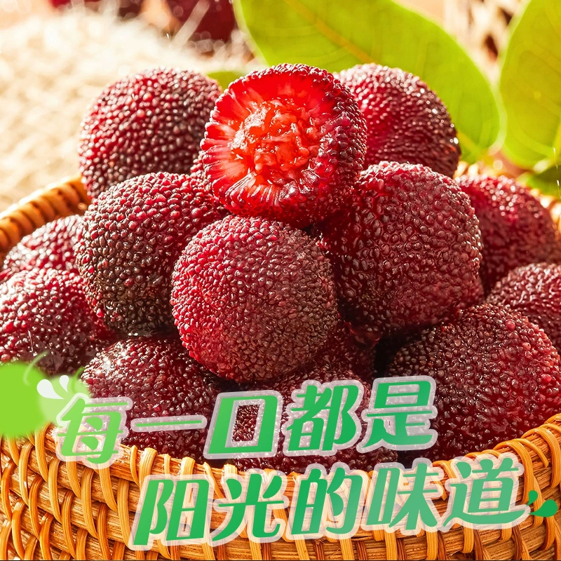 雪海梅乡 鲜汁杨梅 172g量贩 休闲零食 零食 蜜饯 果干 果脯 杨梅 梅子 健康低脂 办公室休闲零食