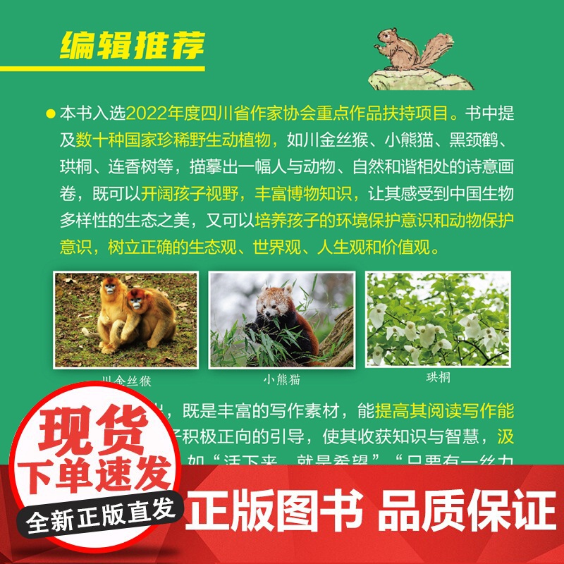 熊猫与少年 百花文艺出版社 fb 蒋林著 动物故事科普知识书籍高清大图