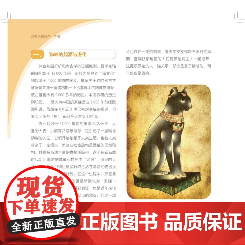 宠物犬猫饲养一本通 上海科学技术出版社刘惠莉宠物品种起源习性行为解析科普活动科学饲养高清大图