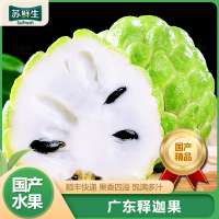 [苏鲜生]顺丰快递 广东释迦果 3斤 单果300g以上 精选释迦果 牛奶释迦番荔枝 佛头果 新鲜热带水果 顺丰